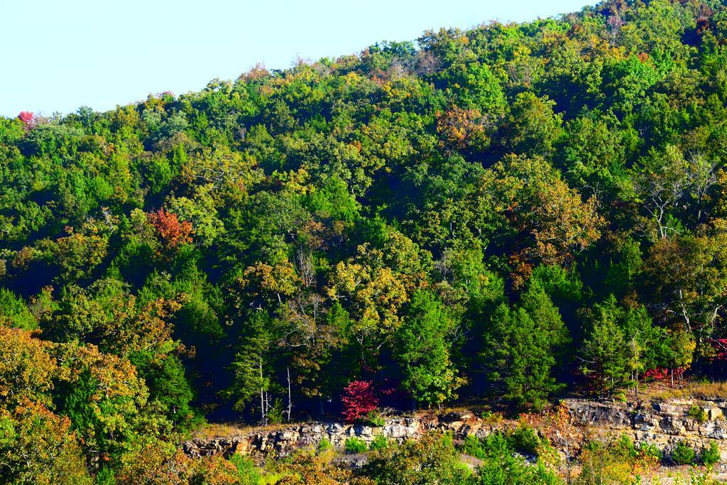 Multi Resorts At Eagles Nest Branson Buitenkant foto